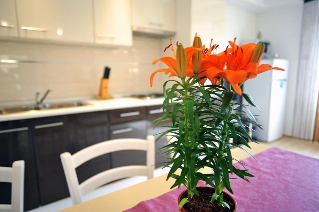 Apartmani Anita 梅杜林 外观 照片